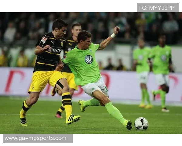 希姆基与阿华加德对决前瞻分析及比赛结果预测